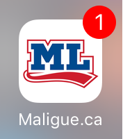 Notification sur l'icône de l'app